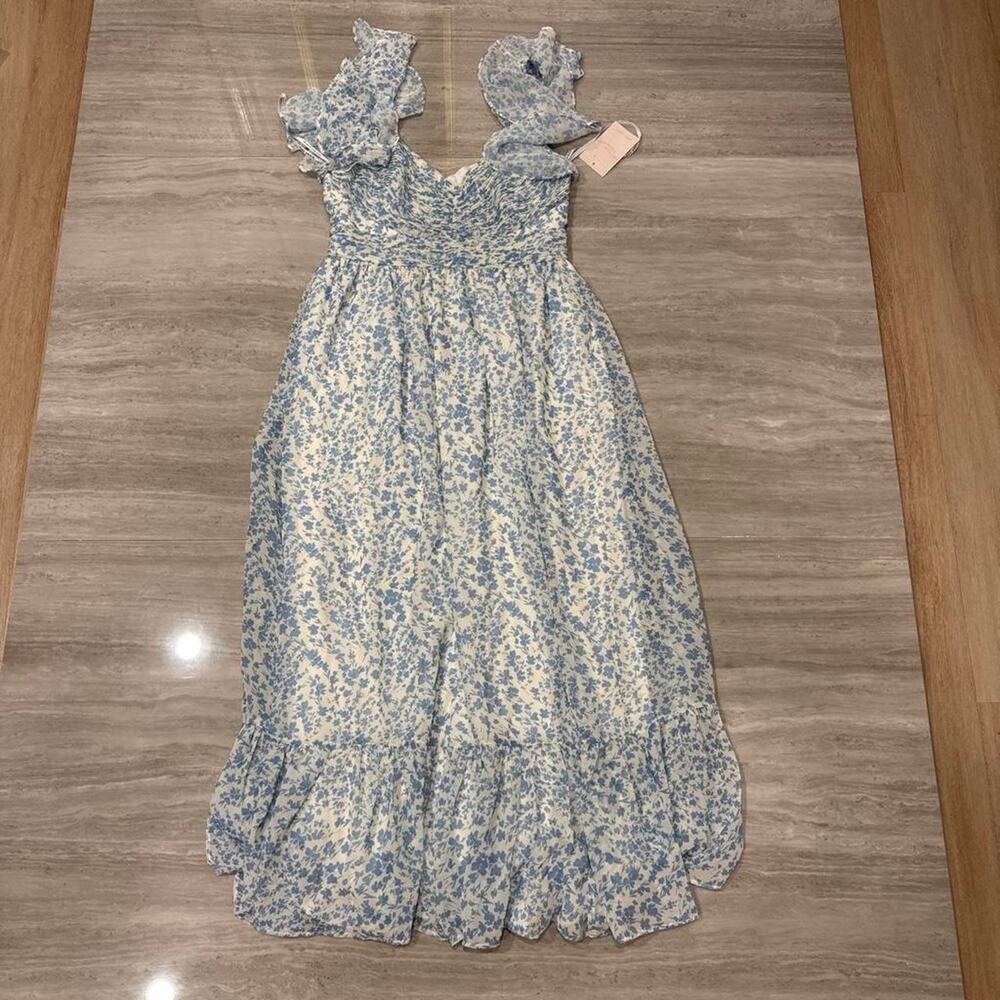 Birdy grey michelle chiffon dress